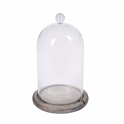 Lights4fun Glass Cloche Dome with Grey Wood Base, Diameter: 20.5 cm – 2
