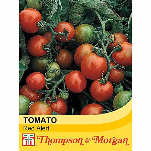 Thompson and Morgan Red Alert Bush Tomato Vegetable Seeds – 2
