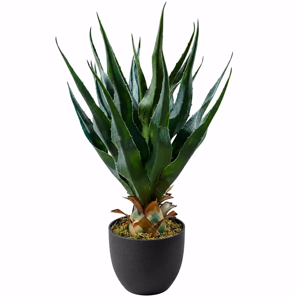 Leaf Design UK 70cm Green Artificial Agave Tropical Yucca Succulent Potted Plant – 2