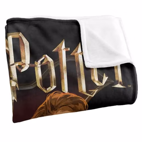 Warner Bros. Harry Potter Drawn Style Group Super Soft Fleece Throw Blanket, Multicolour, W/D/H: 152.4 x 127.0 x 1.0 cm – 2