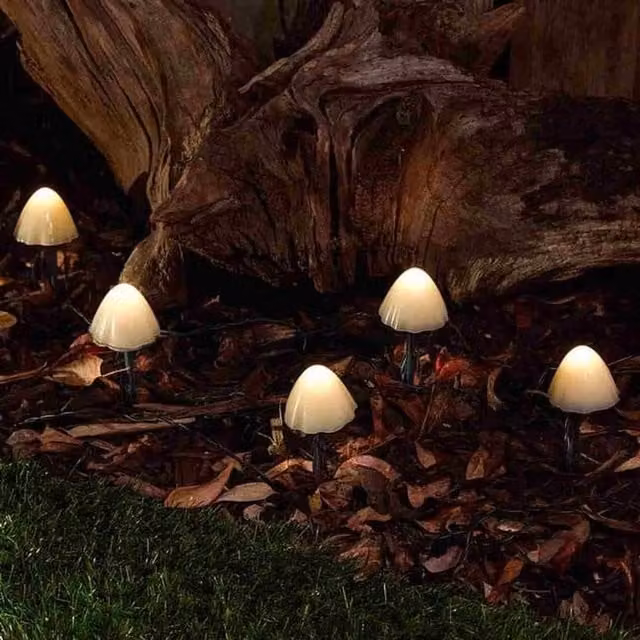 SolarCentre Set of 12 Forest Solar Mushroom Lights in Warm White and Green