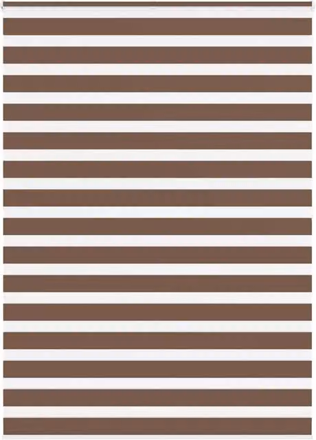 Berkfield Home Brown Zebra Day and Night Blind with Polyester Fabric, W: 165 cm, H: 200 cm