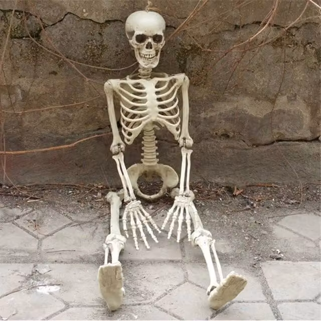 FLAVORA Full Size Posable Human Skeleton Halloween Decoration in White, Height: 90 cm
