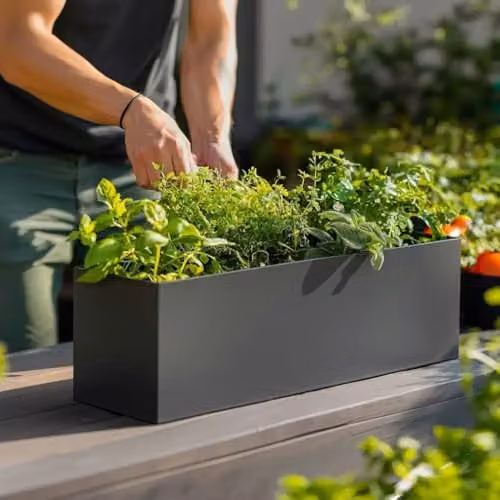 Tulipy Galvanised Steel Trough Planter, Matte Grey, W/D/H: 24 x 70 x 24 cm – 6