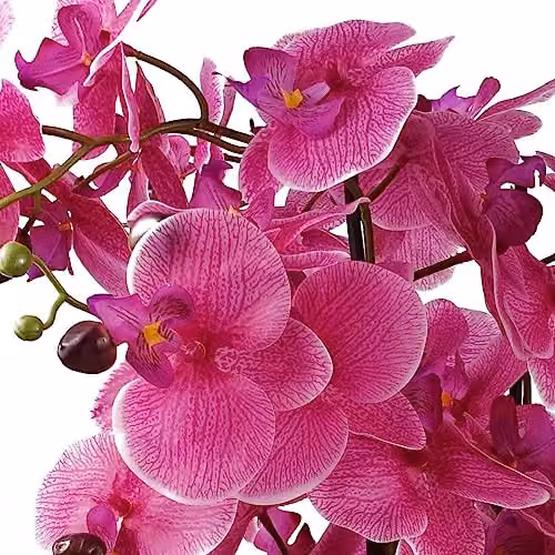 Botanik 60cm Pink and Gold Artificial Orchid in a Green Ceramic Planter – 2