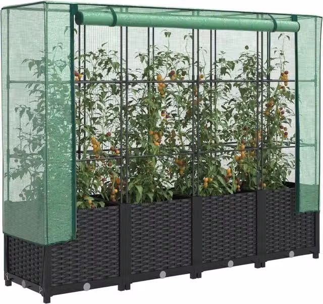 Berkfield Home Raised Bed with Greenhouse Cover in Black Rattan Look, W: 160 cm, D: 40 cm, H: 138 cm
