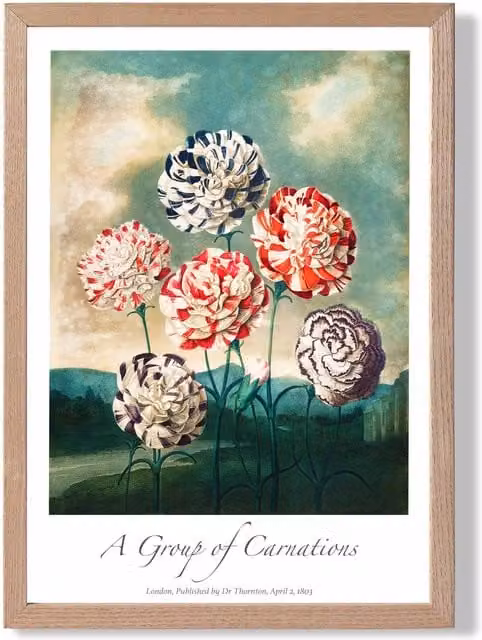 ARTZE Vintage Floral Carnation Flowers Framed Print with Oak Frame, Multicolour, A2 – 1