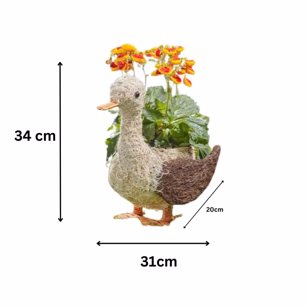 Marco Paul Rattan Garden Flower Planter Tub in Brown, W/D/H: 31.0 x 20.0 x 34.0 cm – 2