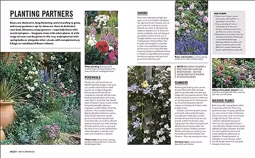 Grow Roses: Essential Know-how and Expert Advice for Gardening Success by DK – 4