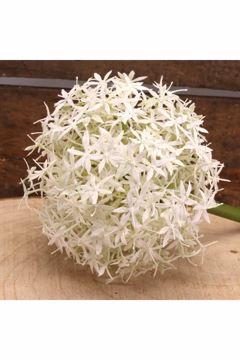 KDMD Single Allium Artificial Flower in Cream and White, Height: 76 cm – 2