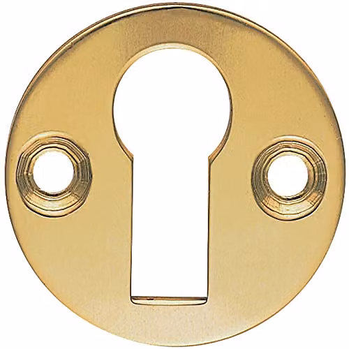 Loops 31mm Keyhole Profile Round Escutcheon Plate in Polished Brass