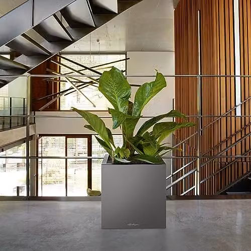 Lechuza Canto Premium 40 Planter Tub in Anthracite Metallic – 2