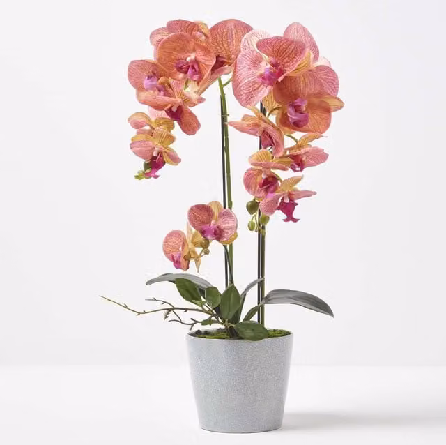 Homescapes Large Lifelike Artificial Orange and Pink Orchid in a Grey Ceramic Pot, Height: 58 cm