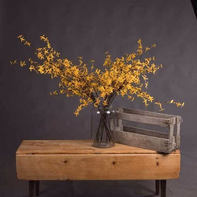 Lemon Pavilion Forsythia Branch Artificial Plant, Yellow, W: 35 cm, H: 108 cm – 1