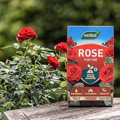 Westland Organic Rose Plant Food and Tonic, 1 kg – 3