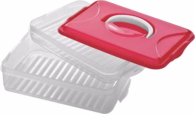 Orsina 2 Layer Pink and Transparent Plastic Food Container with Compartments and Snap Lid