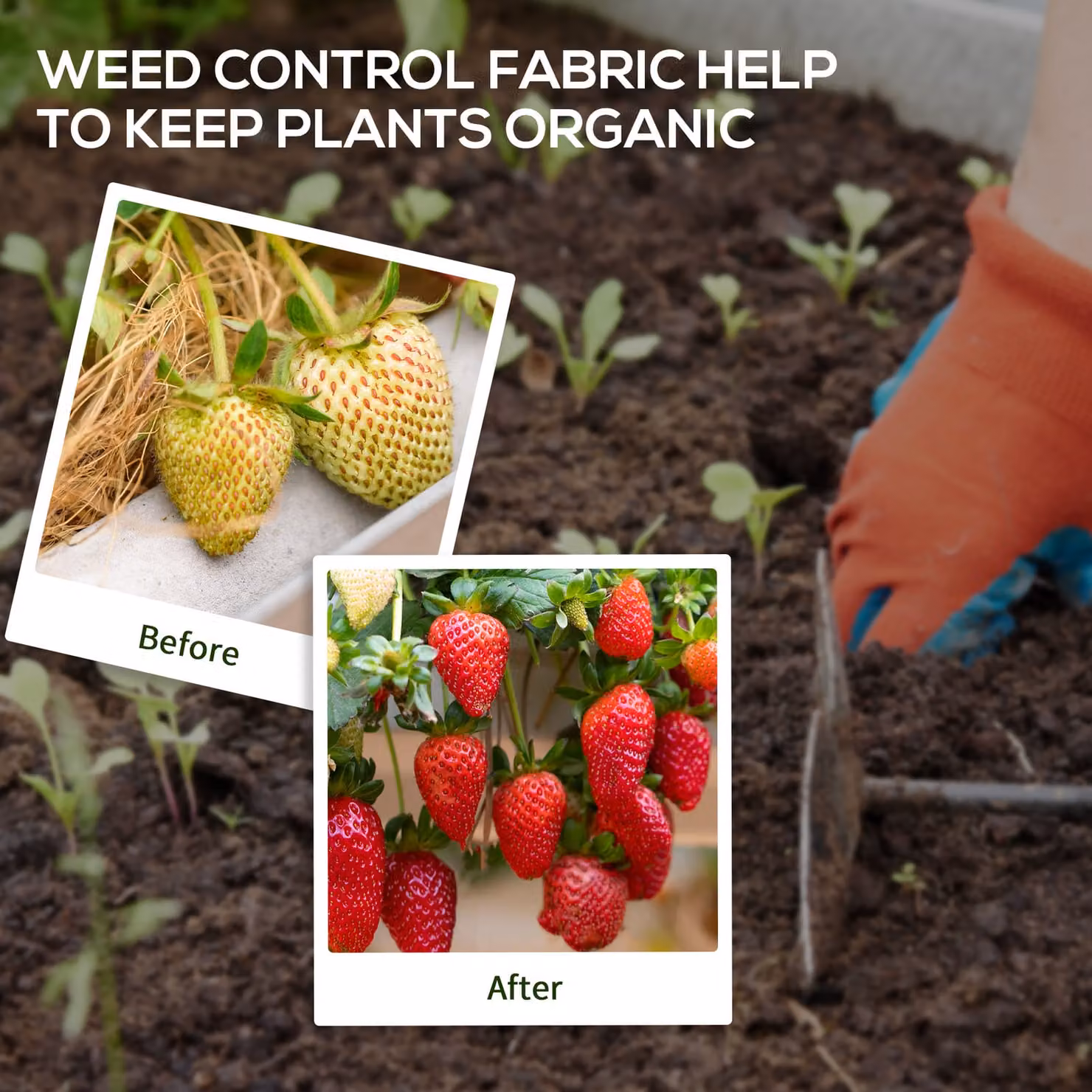 Outsunny Heavy Duty Black Weed Control Membrane for Landscaping, Driveways, Gravel and Lawns, W: 2 m, L: 100 m – 5
