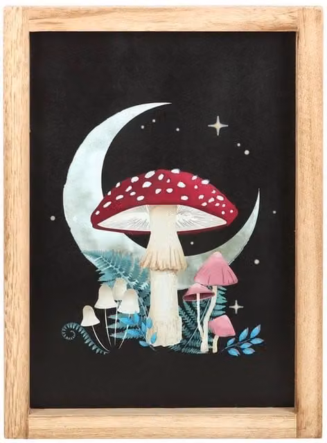 Something Different Forest Mushroom Framed Art Print in Jet Black – 1