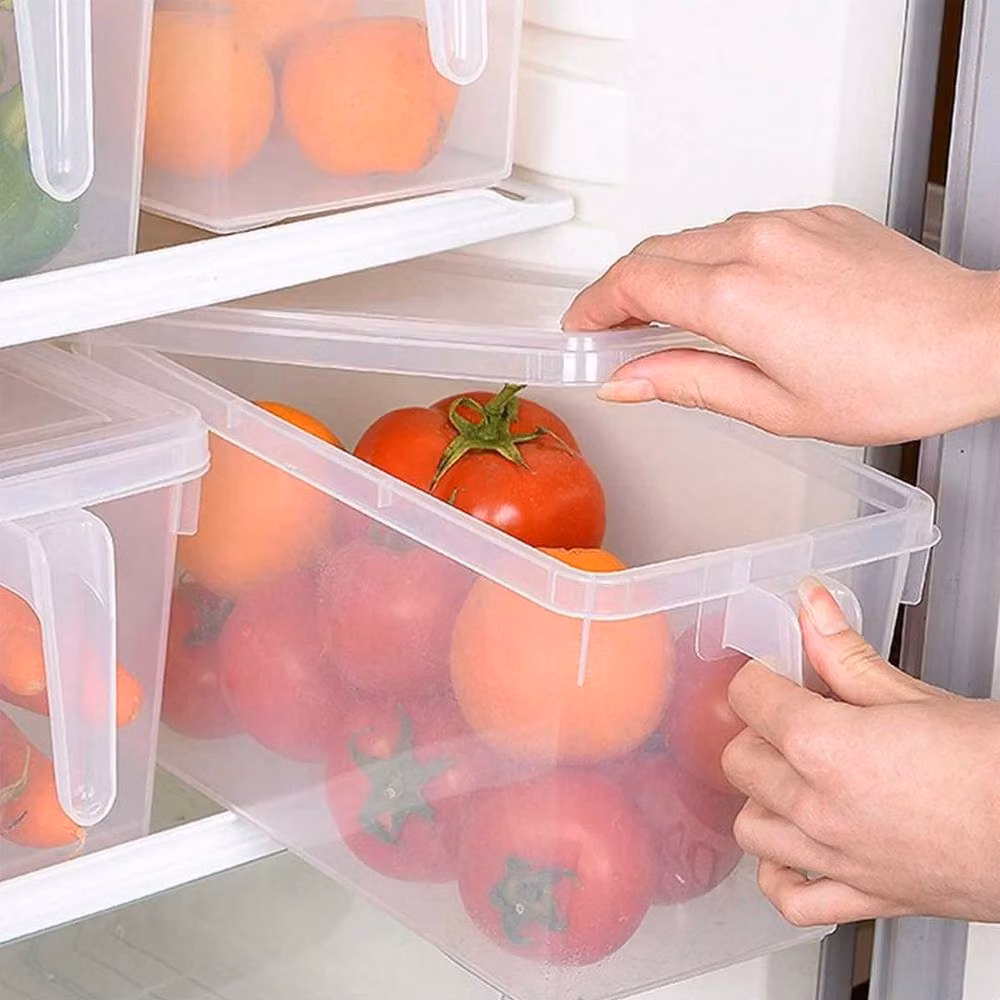 PAWNORA Set of 2 Transparent Plastic Fridge Storage Containers with Snap Lids – 2