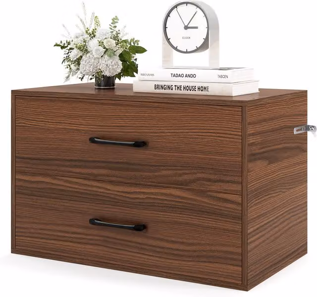 COSTWAY Modern 2-Drawer Metal Storage Cabinet in Black and Brown