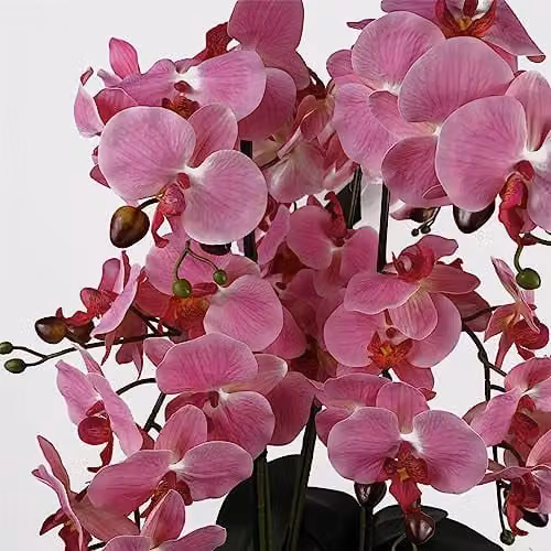 Leaf Design UK Pink Realistic Artificial Orchid Flower Display in a Round Ceramic Pot, H 60 cm x W 40 cm x D 40 cm – 2