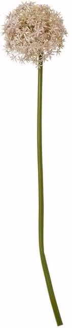 Lemon Pavilion Purple Allium Single Stem Artificial Flower, Plastic, W/D/H: 16 x 16 x 80 cm