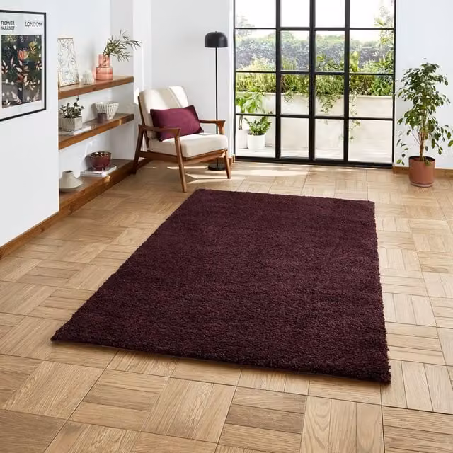 Terrys Modern Purple Rectangular Shaggy Rug in Polypropylene