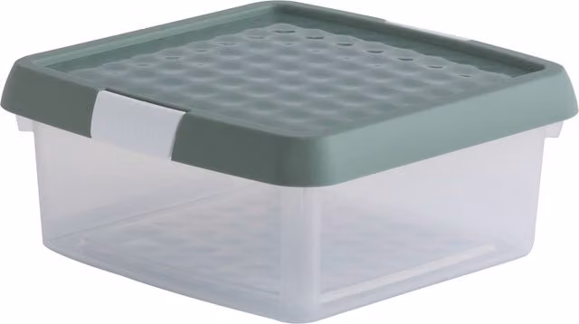 Sage Clip Box, Green, 3.6 l