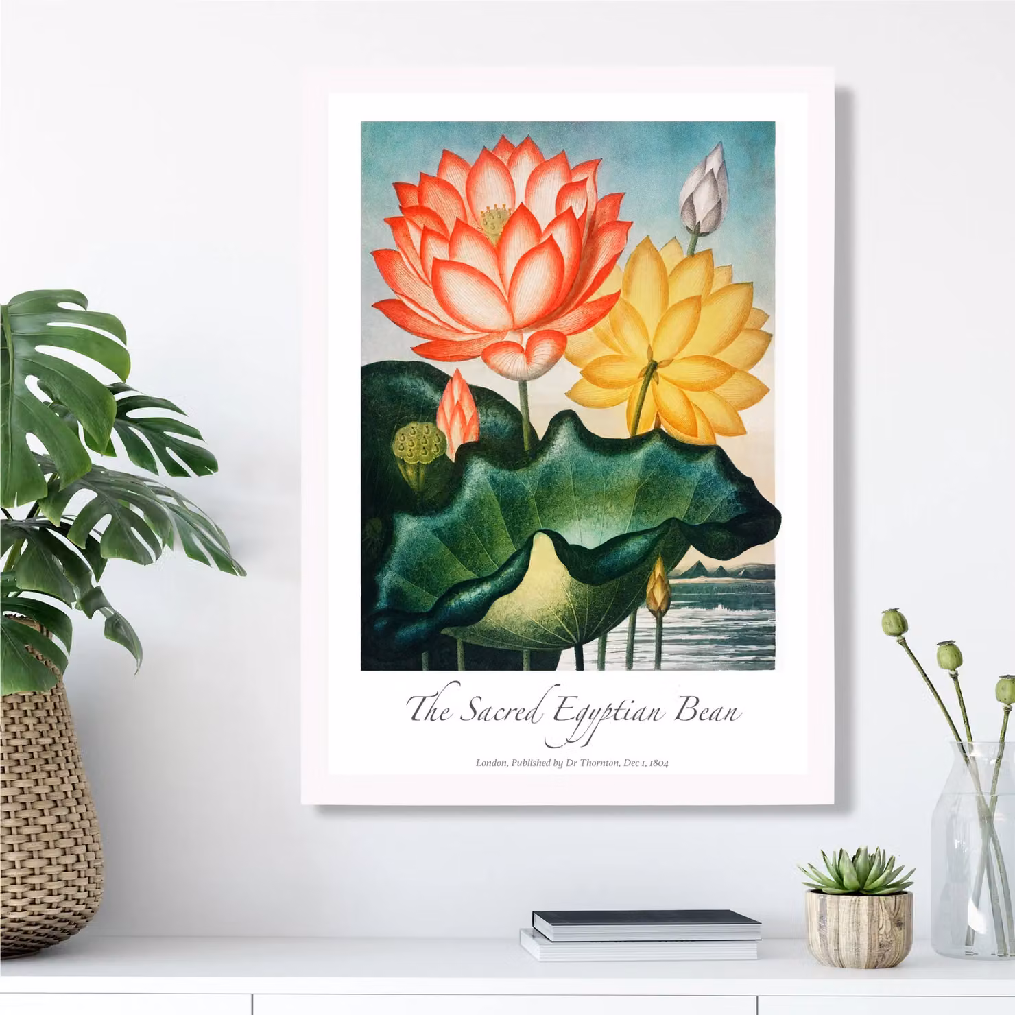 ARTZE Vintage Egyptian Bean Flower Framed Print, Red and Multicolour Botanical Floral Poster, W/D/H: 21.0 x 29.7 x 21.0 cm – 2