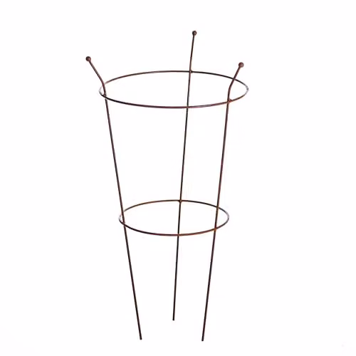 Garden Gear Heavy Duty Steel Peony Frame Outdoor Garden Plant Support Ring in Rust, H 63 cm x W 34 cm