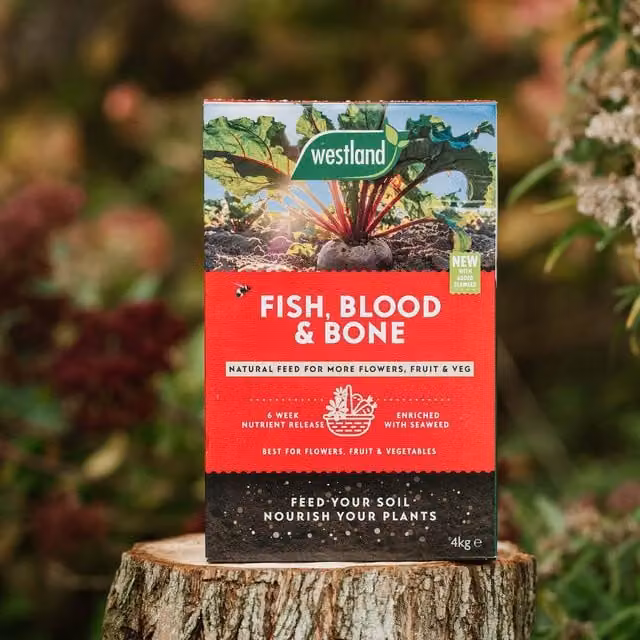 Westland Fish, Blood and Bone Slow Release Plant Tonic, 3 kg