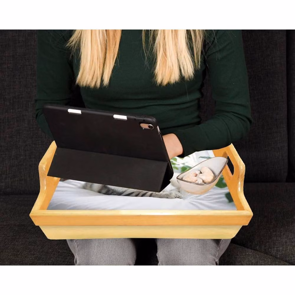 PAWNORA Cat Lap Tray with Bean Bag Padded Cushion in Beige, W/D: 100 x 100 cm – 4