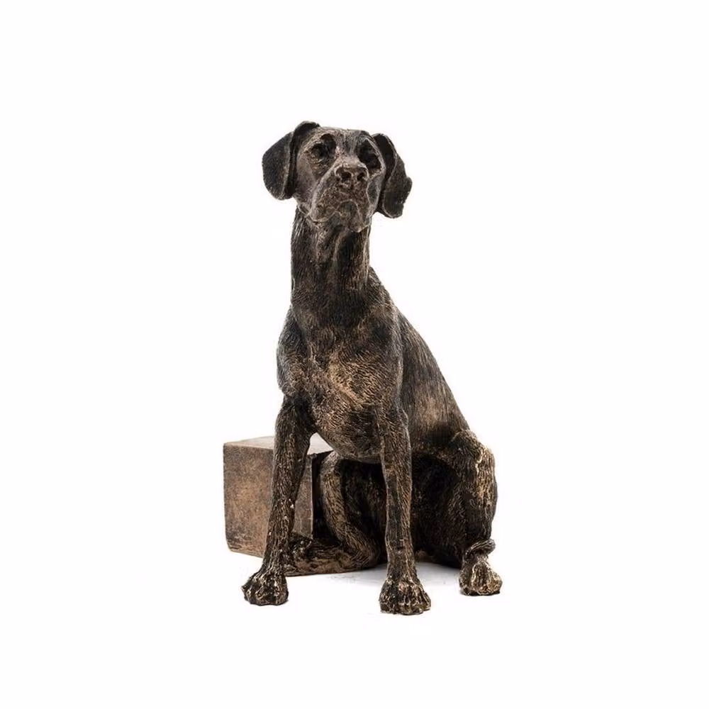 Jardinopia Great Dane Plant Pot Feet, Set of 3, Bronze, W: 11 cm, D: 11 cm, H: 7 cm – 2