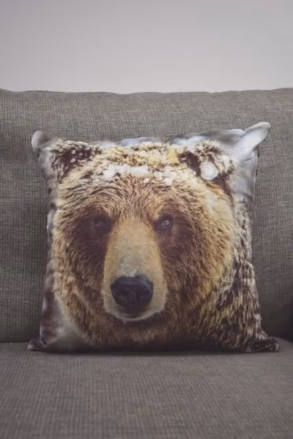 Rapport Home Big Bear Polyester Velvet Cushion Cover, Multicolour, W/D/H: 43 x 43 x 43 cm