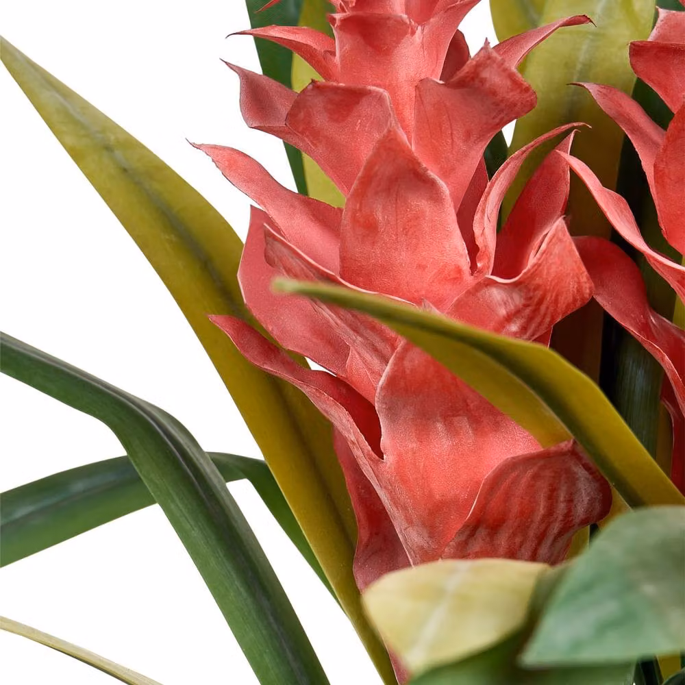 Wyld and Coco Red Bloom Faux Guzmania Indoor Plant in a Green Potted Tabletop Design – 2