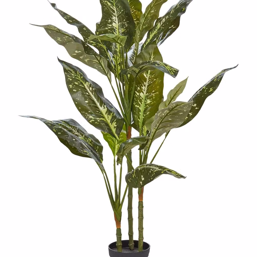 Wyld and Coco Artificial Potted Dieffenbachia Green and Black, Height: 110 cm – 2