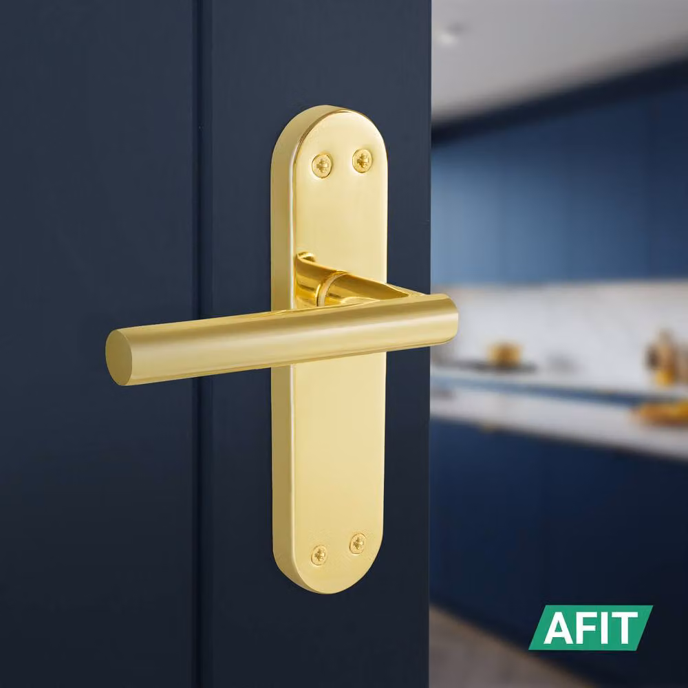 AFIT Polished Brass T-Bar Long Backplate Latch Handle and Hinge Set in Gold, W/D/H: 150 x 100 x 150 mm – 4