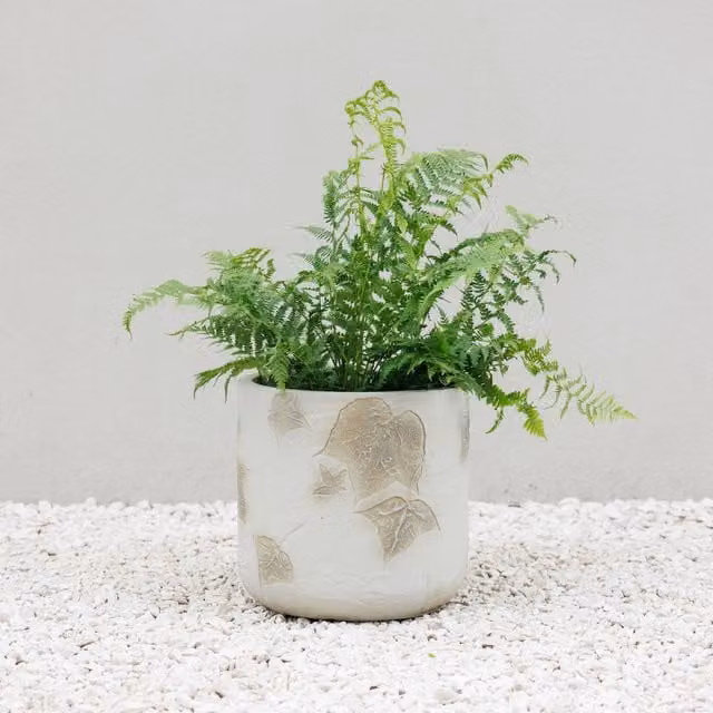 Primrose Fibreglass Round Patio Planter Tub in Grey and White