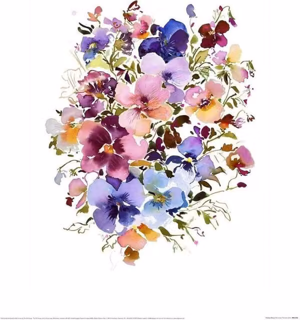 Summer Thornton Chelsea Pansies Floral Paper Poster in Multicolour