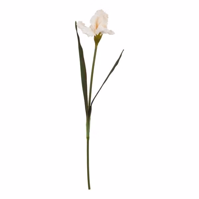 Hill Interiors Natural Garden Collection Fringed Iris Artificial Flower in Green