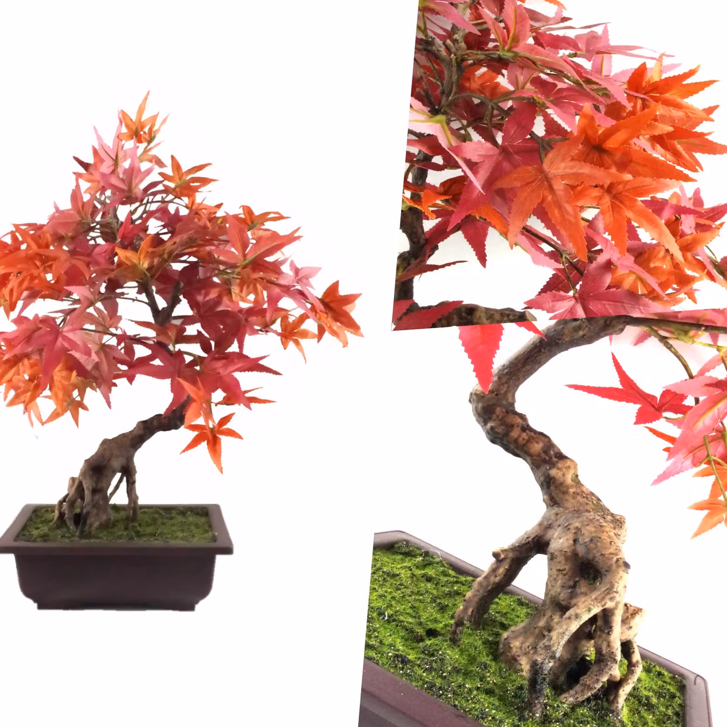 Pegdev 50cm Artificial Red Maple Bonsai Tree with Decorative Planter in Red and Brown – 4