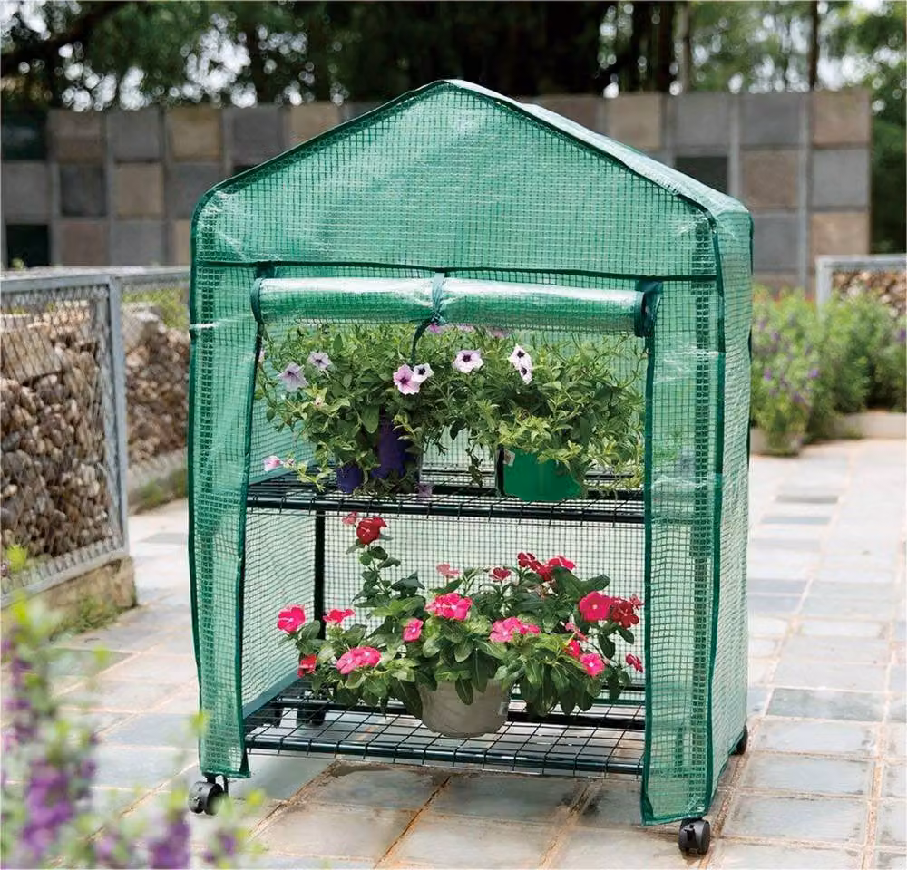 St Helens Home & Garden 2-Tier Mini Greenhouse with Shelves and Green PVC Cover – 6