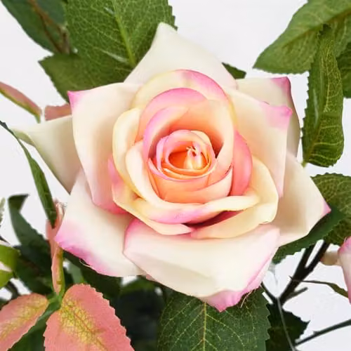 Leaf Design UK Pink Rose Artificial Potted Plant, Height: 50 cm – 3