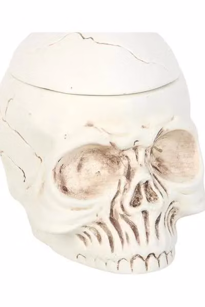 KDMD Weathered Skull Ceramic Oil Burner and Wax Warmer in Beige – 3