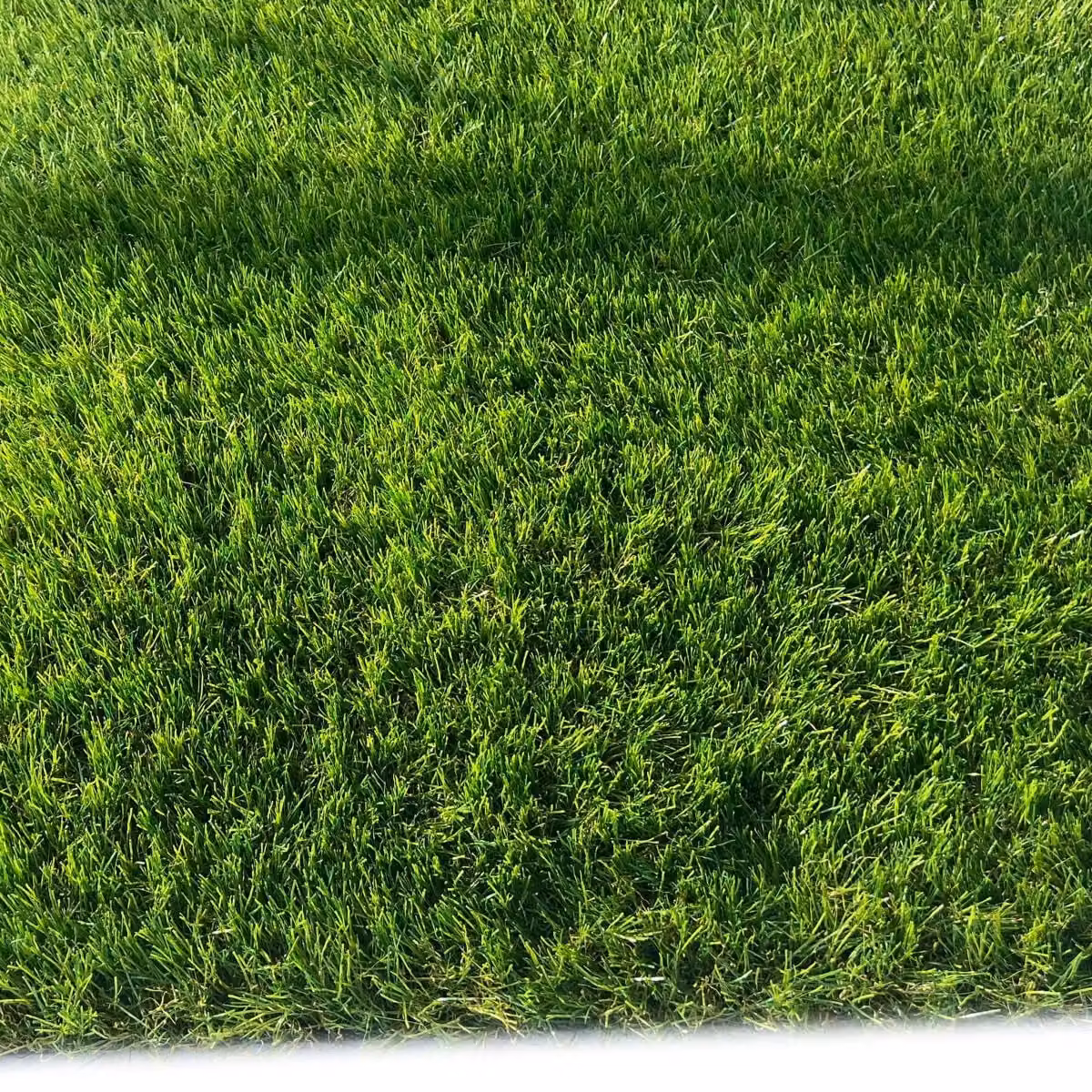 Artificial Grass GB Cordoba 40mm Artificial Grass in Green, W: 400 cm, D: 800 cm – 5