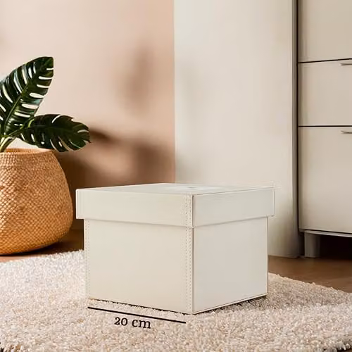 Orsina Beige Faux Leather DVD Storage Box with Lid – 2