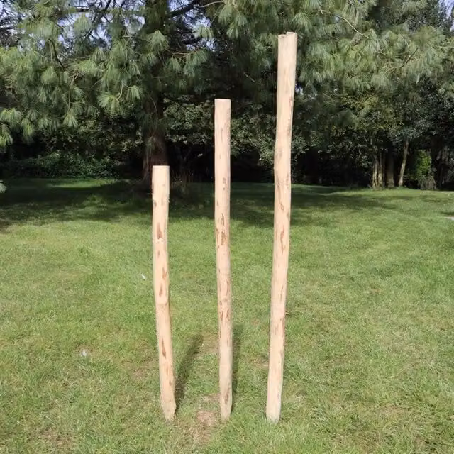 Woven Wood Round Rustic Chestnut Fence Posts for Hazel Hurdles, Brown, Height: 180 cm