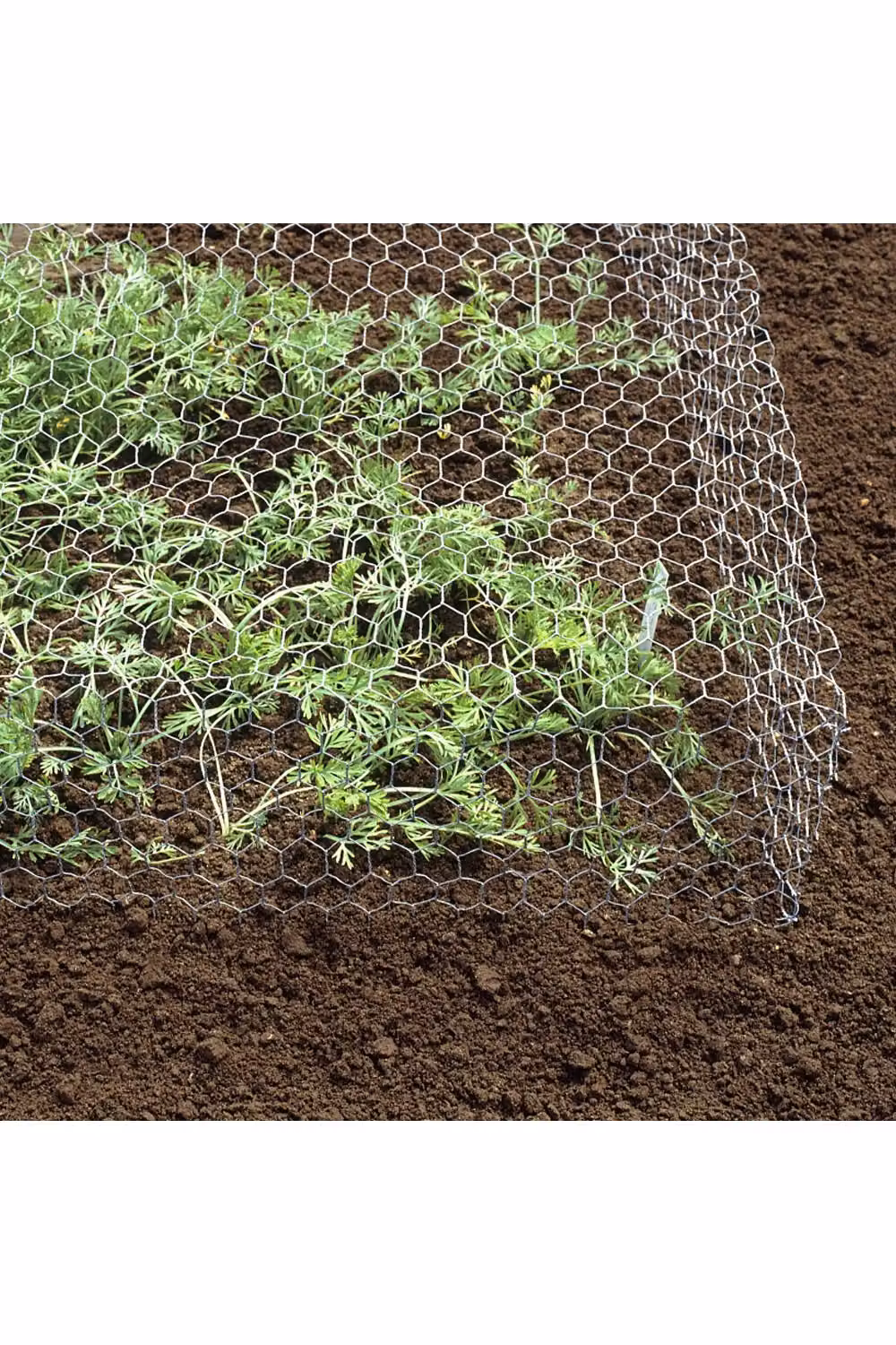 Living and Home Silver Galvanised Hexagonal Wire Mesh Fence Netting, W: 0.9 m, L: 6 m – 3