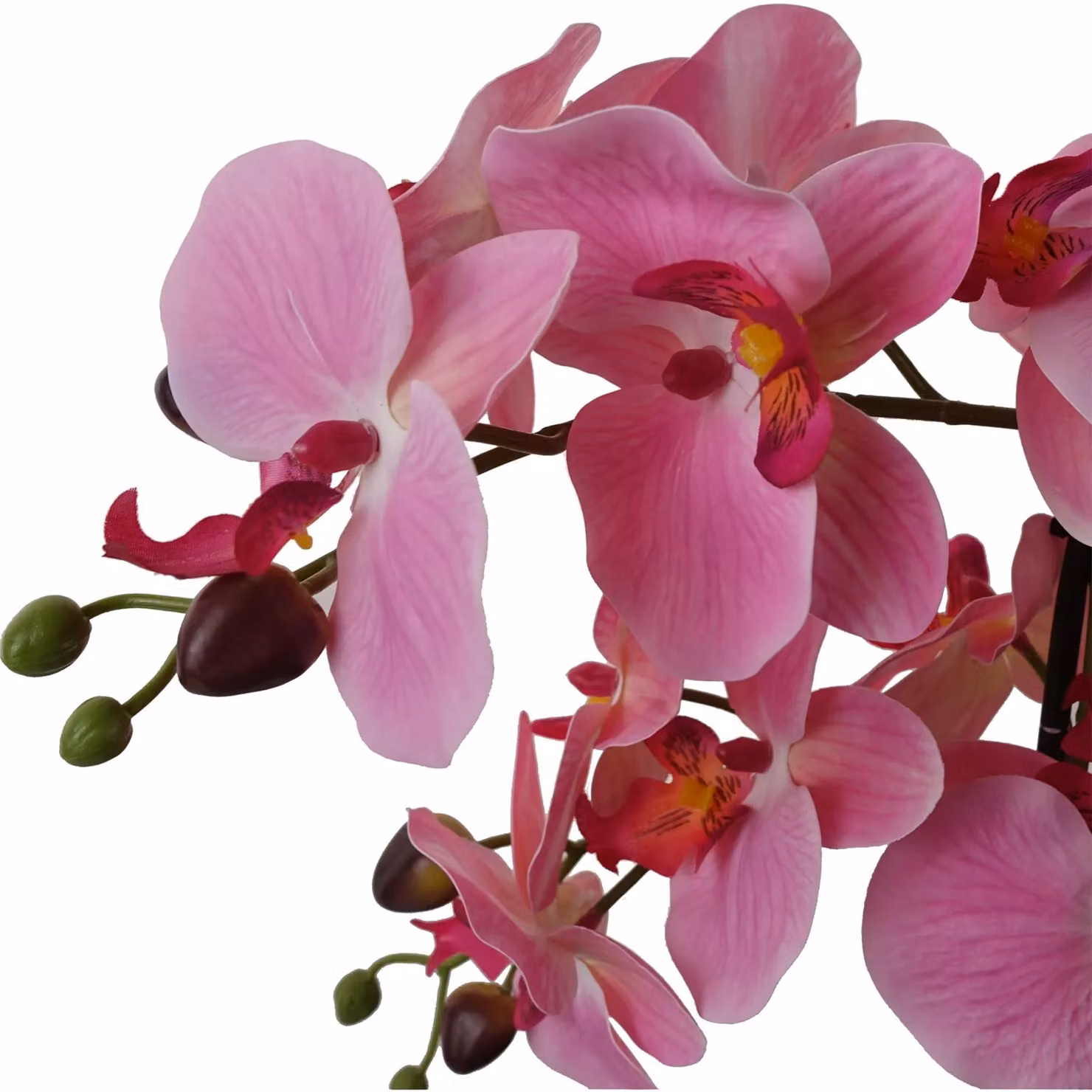 Botanik Pink Artificial Orchid with Glass Planter in Green, H 50 cm x W 40 cm x D 40 cm – 2