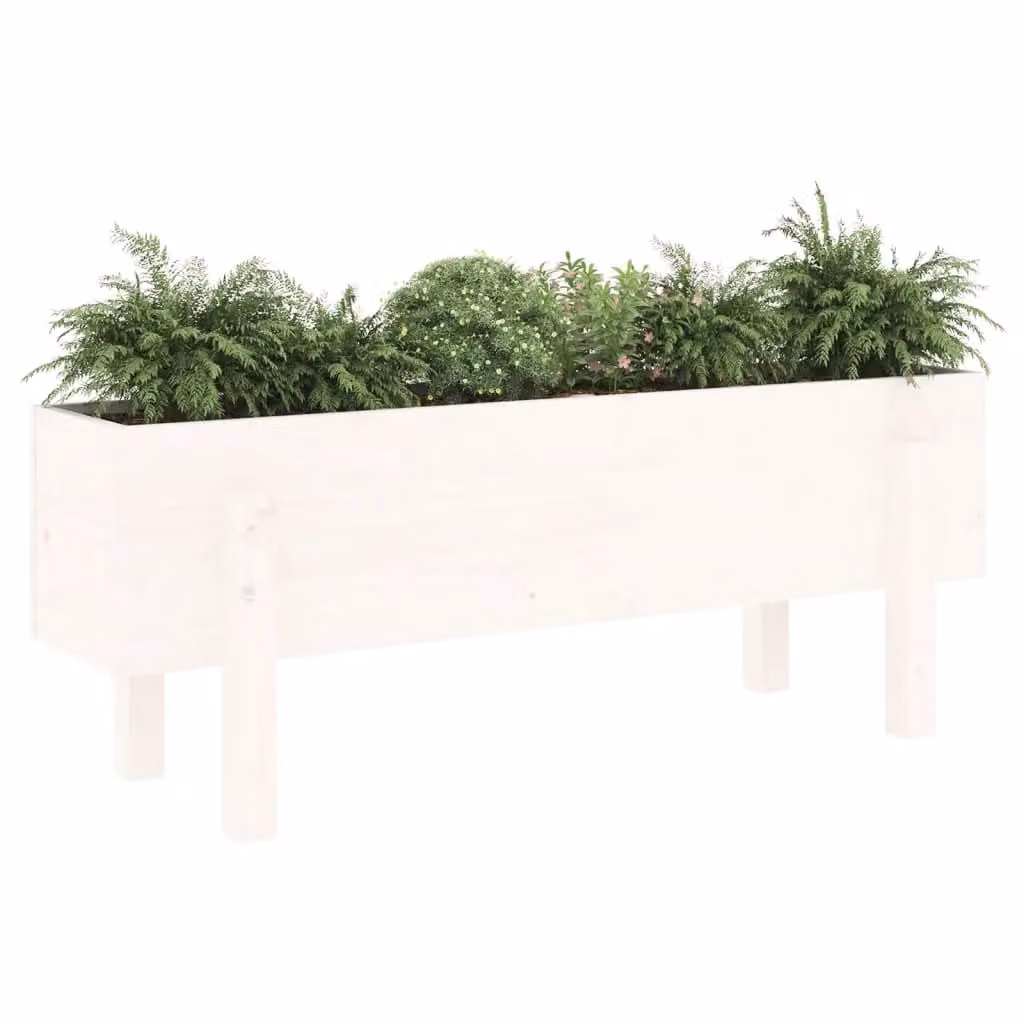Berkfield Home Garden White Solid Wood Pine Raised Bed W/D/H: 101 x 30 x 38 cm – 2